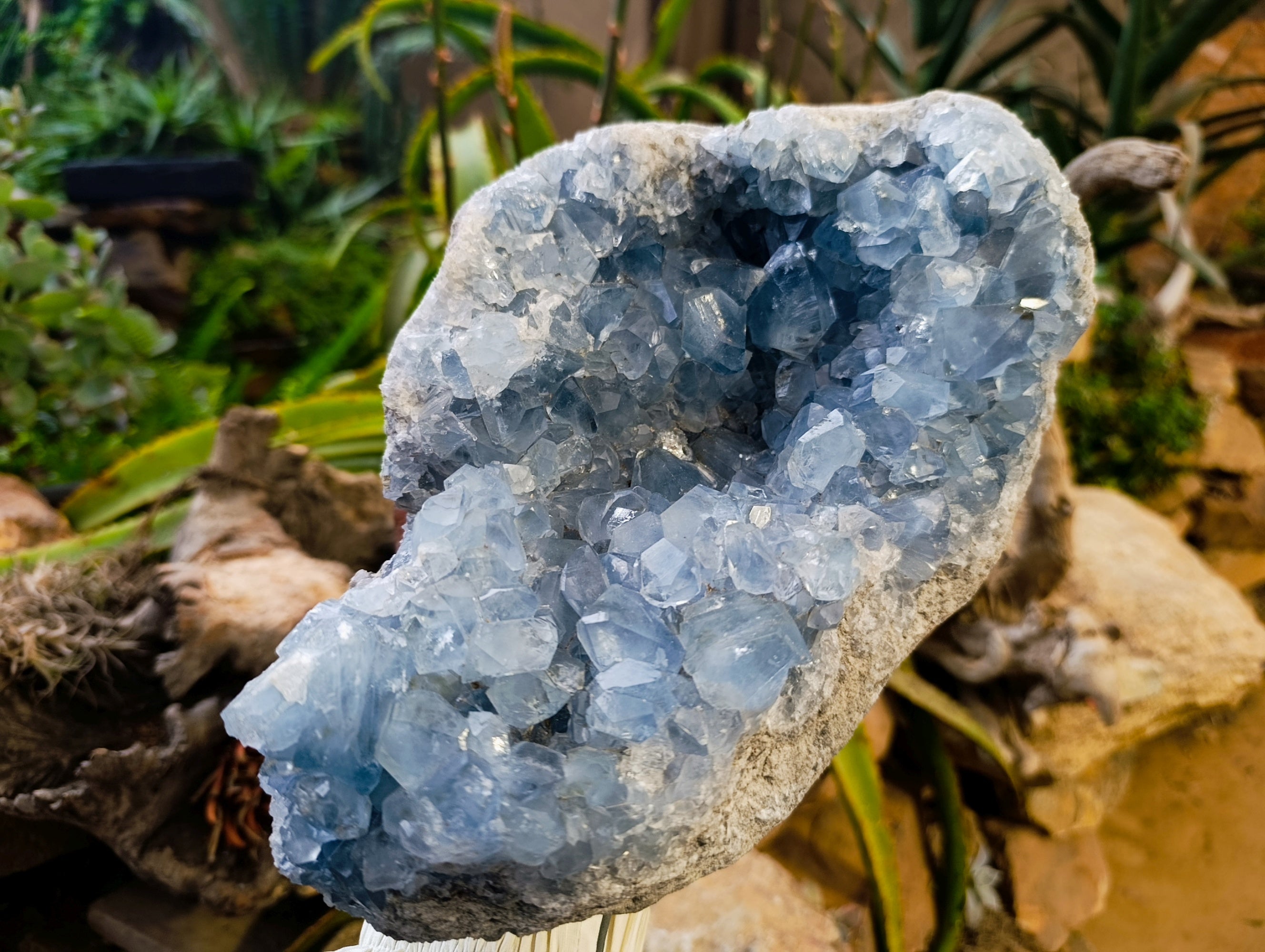 Natural Large Celestite Geode Specimen x 1 From Sakoany, Madagascar - Toprock Gemstones and Minerals 