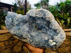 Natural Large Celestite Geode Specimen x 1 From Sakoany, Madagascar - Toprock Gemstones and Minerals 