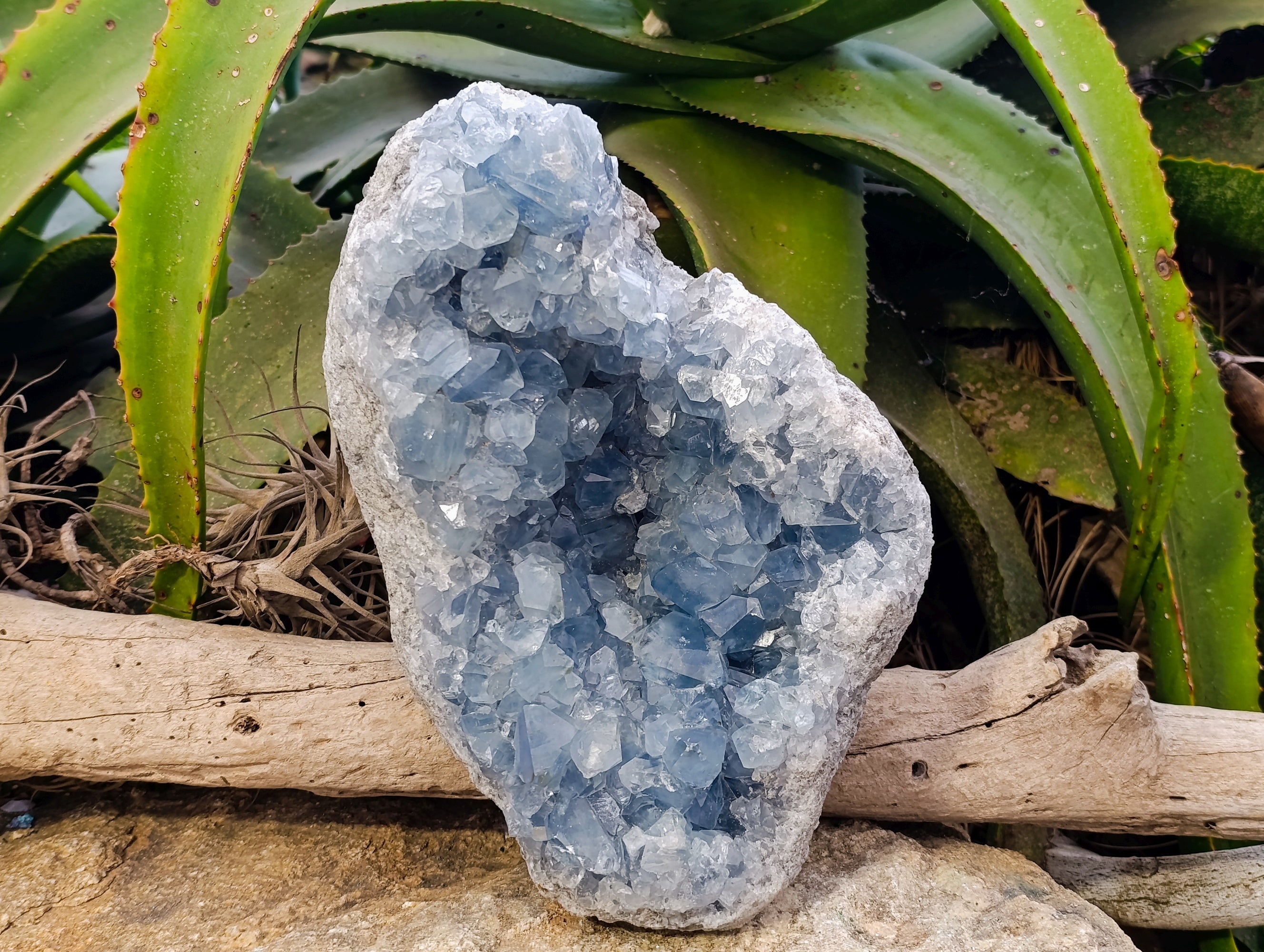 Natural Large Celestite Geode Specimen x 1 From Sakoany, Madagascar - Toprock Gemstones and Minerals 