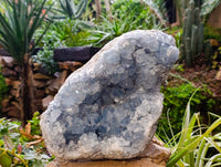 Natural Large Celestite Geode Specimen x 1 From Sakoany, Madagascar - Toprock Gemstones and Minerals 