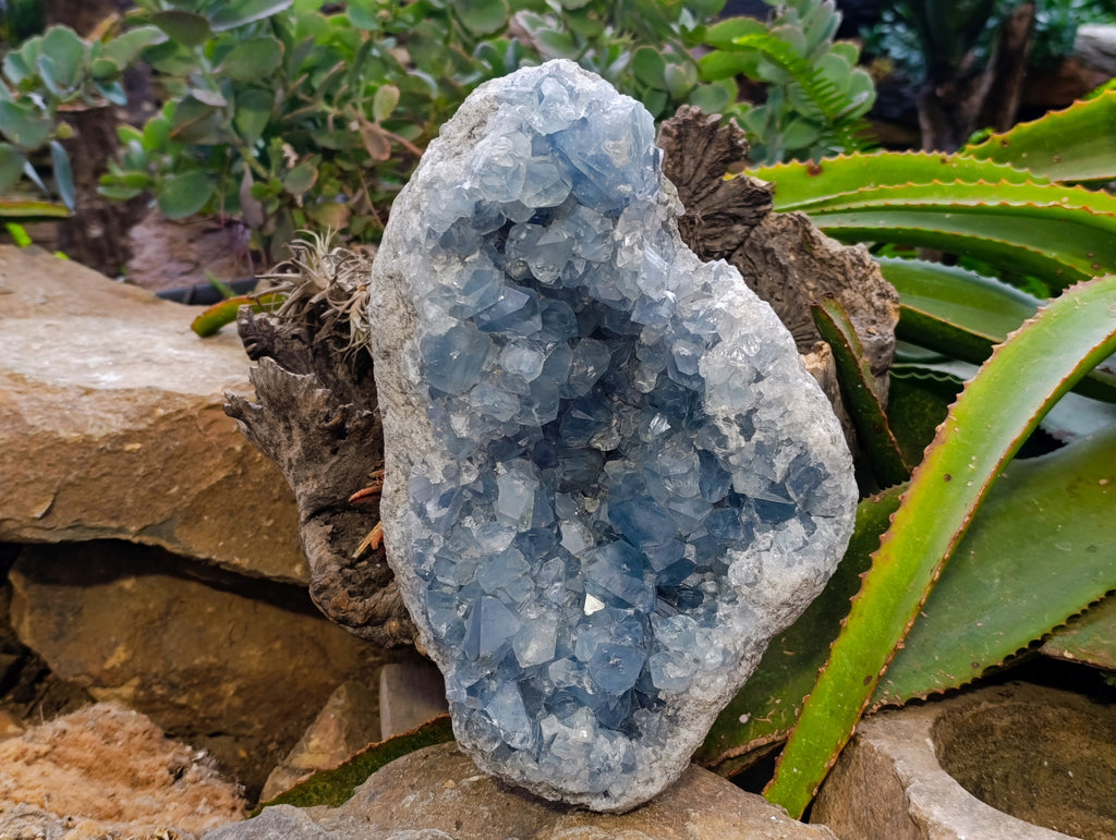 Natural Large Celestite Geode Specimen x 1 From Sakoany, Madagascar - Toprock Gemstones and Minerals 