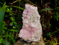 Natural Extremely Rare Collectable Rhodocalcite Specimen with Kolwezite x 1 From Congo