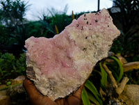 Natural Extremely Rare Collectable Rhodocalcite Specimen with Kolwezite x 1 From Congo