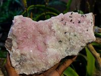Natural Extremely Rare Collectable Rhodocalcite Specimen with Kolwezite x 1 From Congo