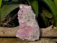 Natural Extremely Rare Collectable Rhodocalcite Specimen with Kolwezite x 1 From Congo