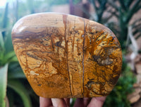 Polished Picture Stone Jasper Standing Free Forms x 3 From Ais-Ais, Namibia - Toprock Gemstones and Minerals 