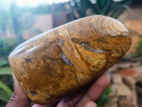 Polished Picture Stone Jasper Standing Free Forms x 3 From Ais-Ais, Namibia - Toprock Gemstones and Minerals 