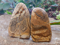 Polished Picture Stone Jasper Standing Free Forms x 3 From Ais-Ais, Namibia - Toprock Gemstones and Minerals 
