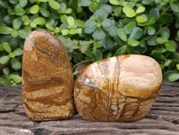 Polished Picture Stone Jasper Standing Free Forms x 3 From Ais-Ais, Namibia - Toprock Gemstones and Minerals 
