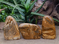 Polished Picture Stone Jasper Standing Free Forms x 3 From Ais-Ais, Namibia - Toprock Gemstones and Minerals 