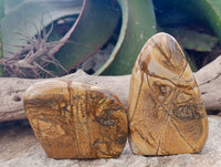 Polished Picture Stone Jasper Standing Free Forms x 3 From Ais-Ais, Namibia - Toprock Gemstones and Minerals 
