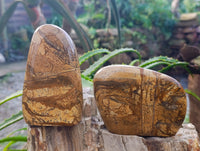 Polished Picture Stone Jasper Standing Free Forms x 3 From Ais-Ais, Namibia - Toprock Gemstones and Minerals 
