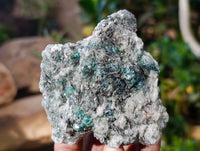Natural Emerald Mica In Matrix Cobbed Specimens x 6 From Mutoko, Zimbabwe - Toprock Gemstones and Minerals 