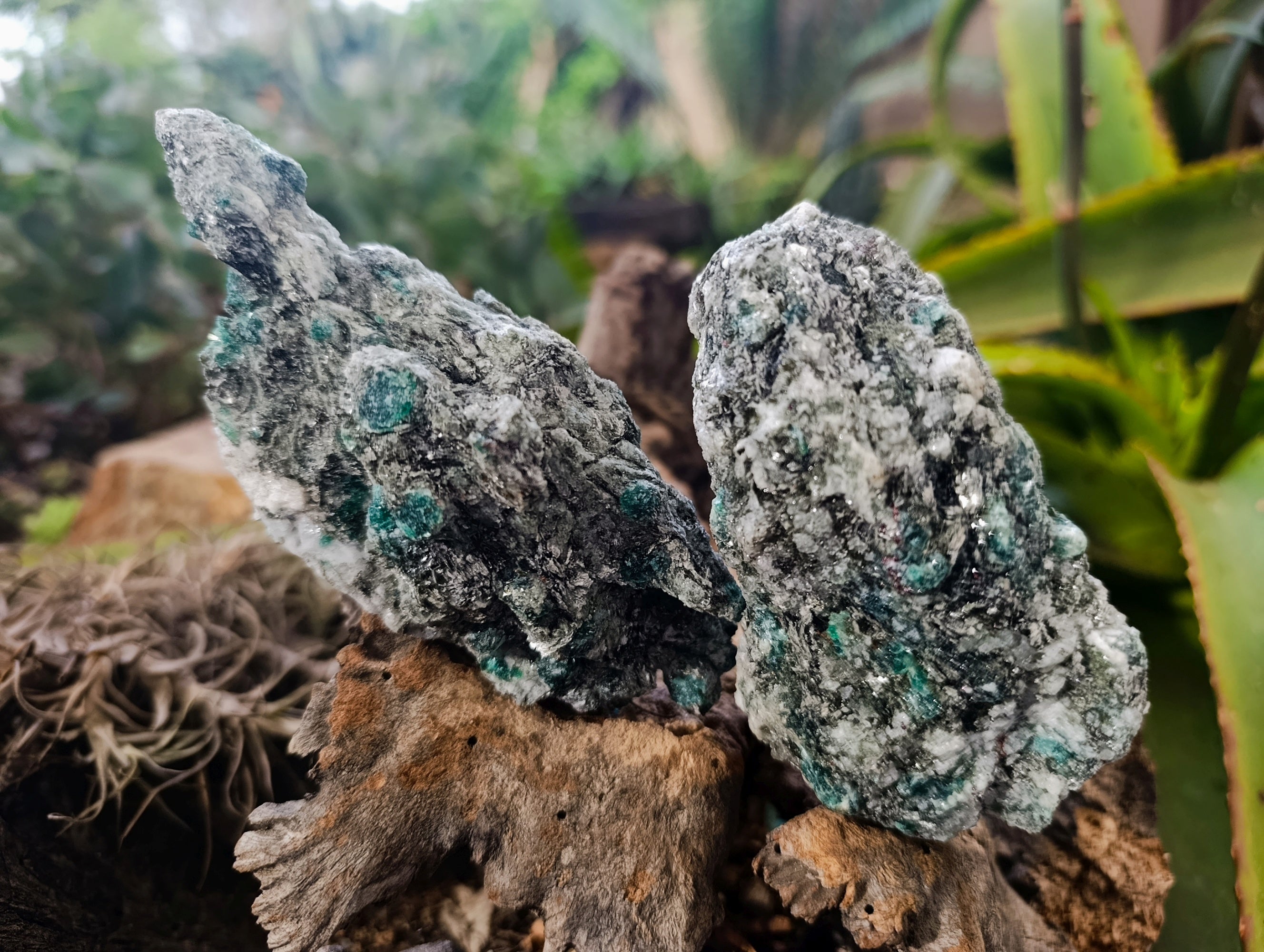 Natural Emerald Mica In Matrix Cobbed Specimens x 6 From Mutoko, Zimbabwe - Toprock Gemstones and Minerals 