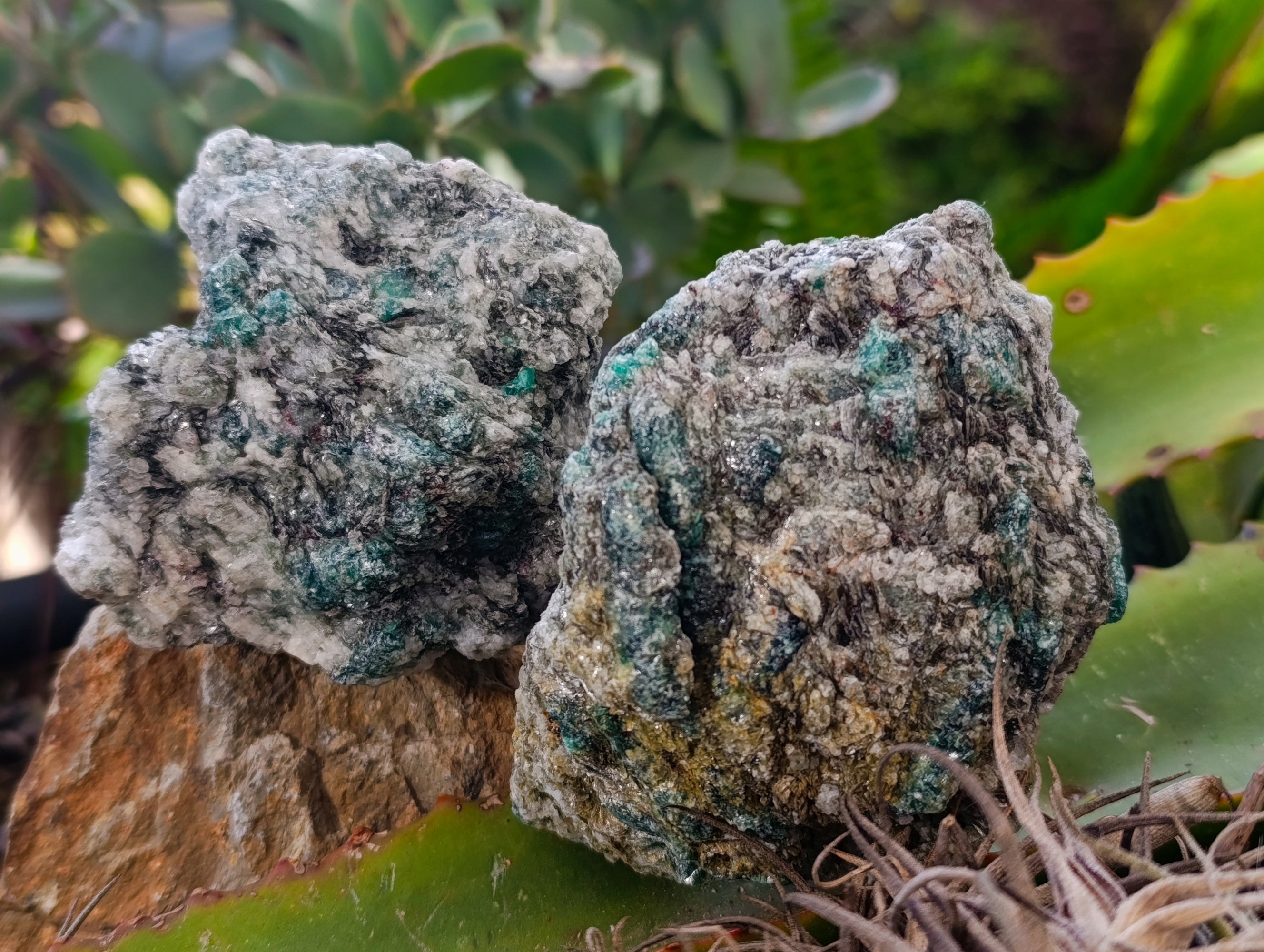 Natural Emerald Mica In Matrix Cobbed Specimens x 6 From Mutoko, Zimbabwe - Toprock Gemstones and Minerals 