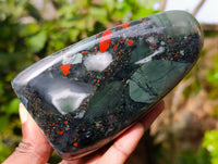 Polished Bloodstone Standing Free Forms x 2 From Swaziland