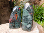 Polished Bloodstone Standing Free Forms x 2 From Swaziland - Toprock Gemstones and Minerals 