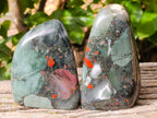 Polished Bloodstone Standing Free Forms x 2 From Swaziland - Toprock Gemstones and Minerals 