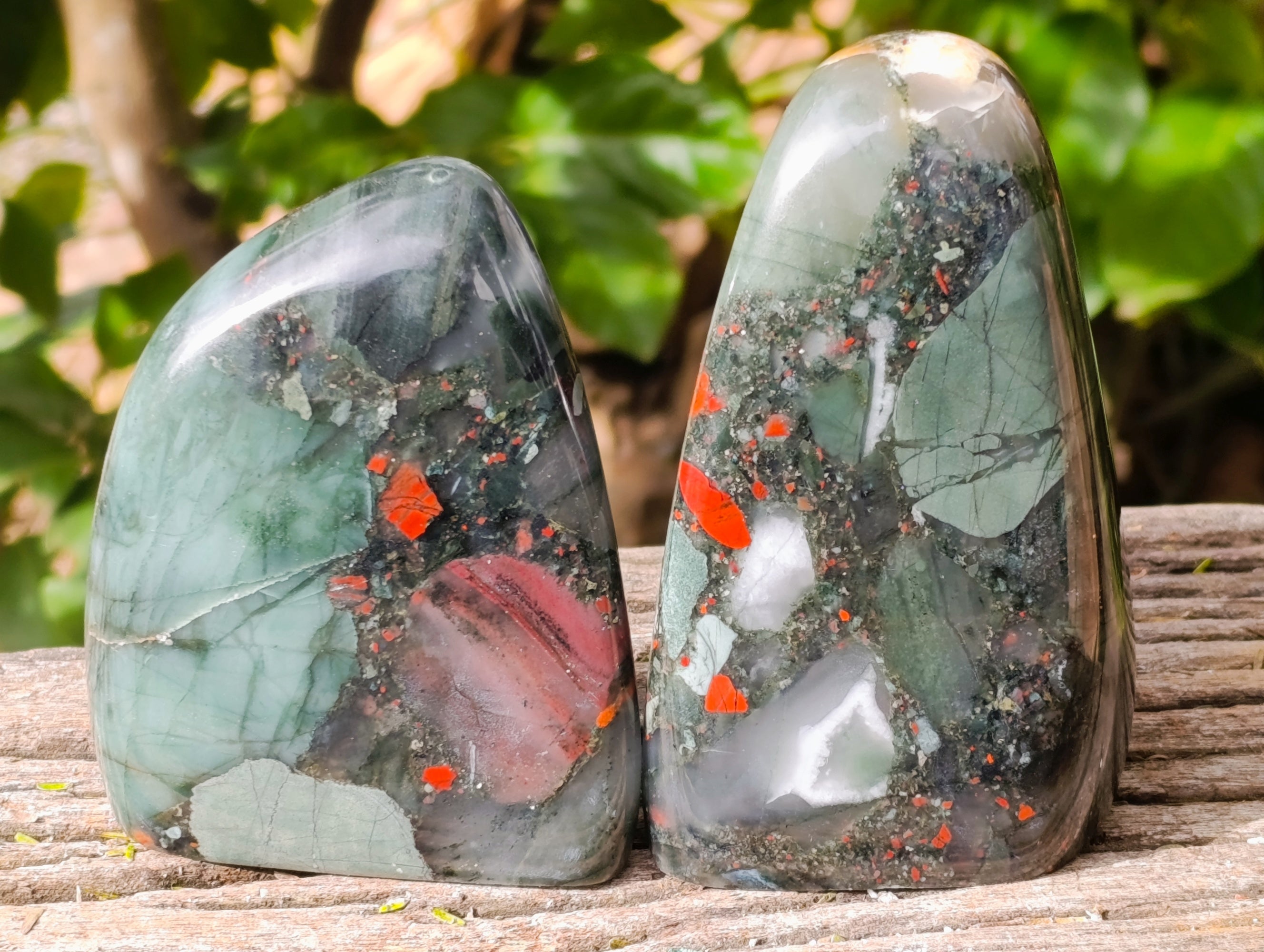 Polished Bloodstone Standing Free Forms x 2 From Swaziland - Toprock Gemstones and Minerals 