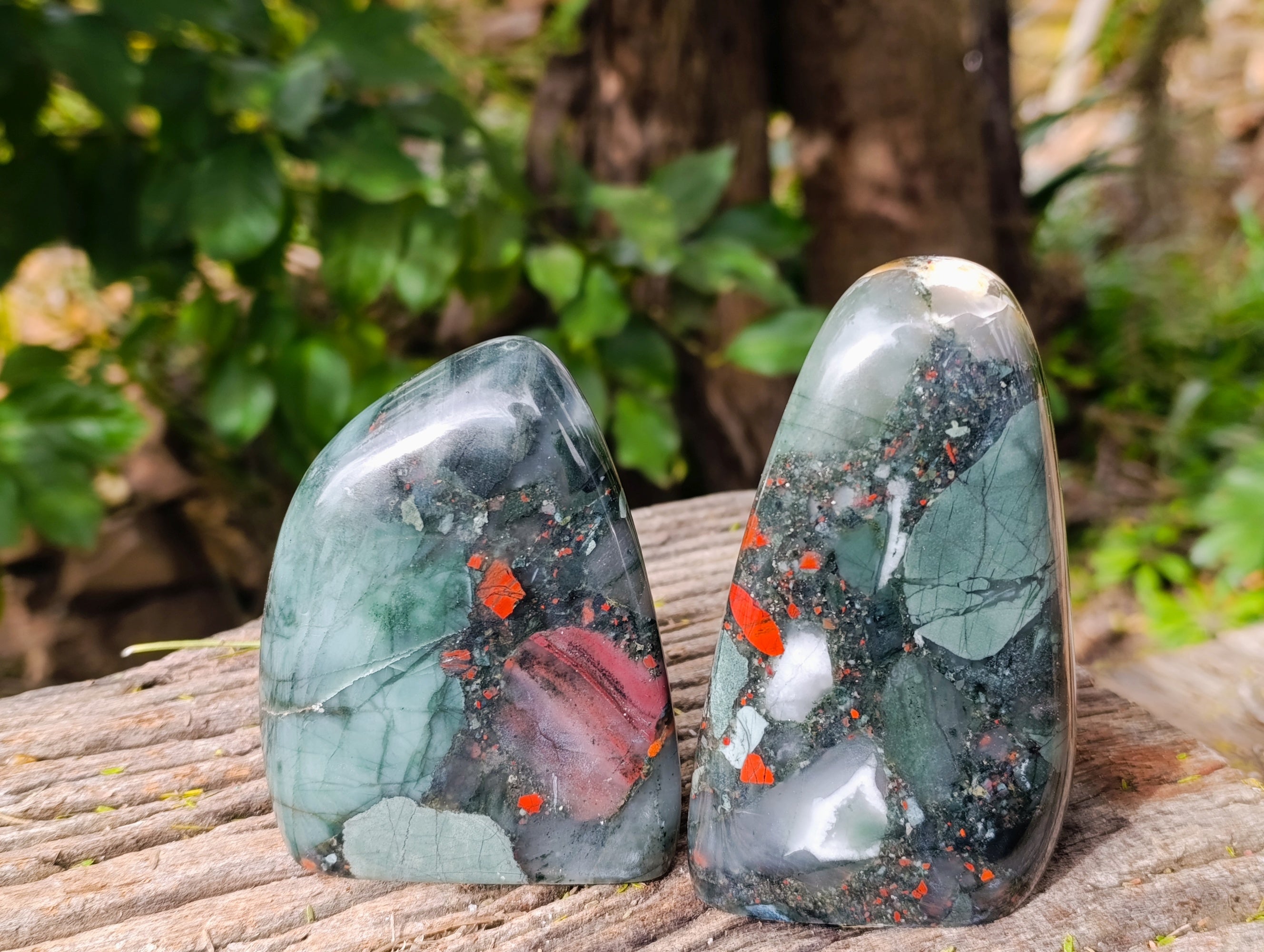Polished Bloodstone Standing Free Forms x 2 From Swaziland - Toprock Gemstones and Minerals 