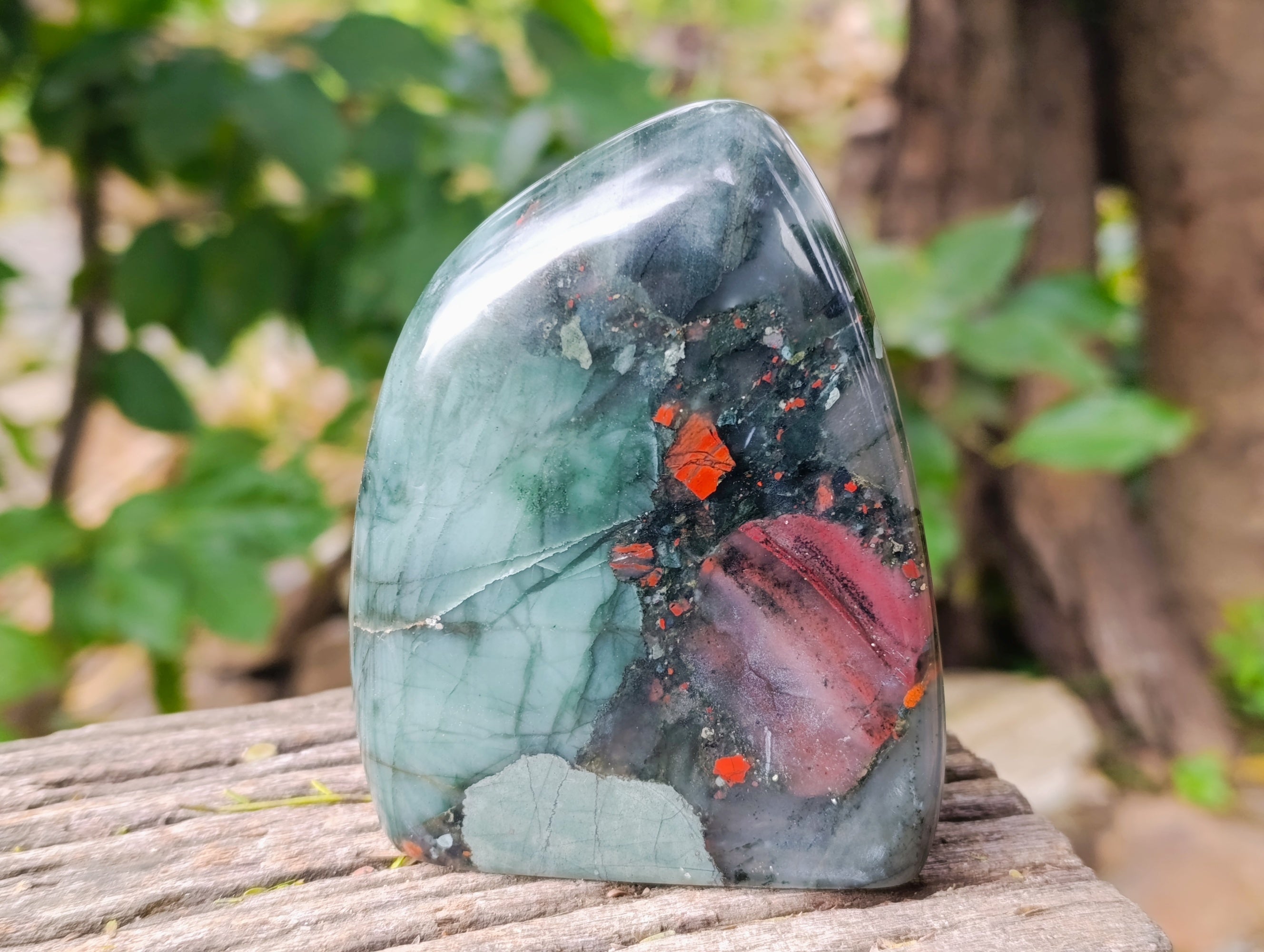 Polished Bloodstone Standing Free Forms x 2 From Swaziland - Toprock Gemstones and Minerals 