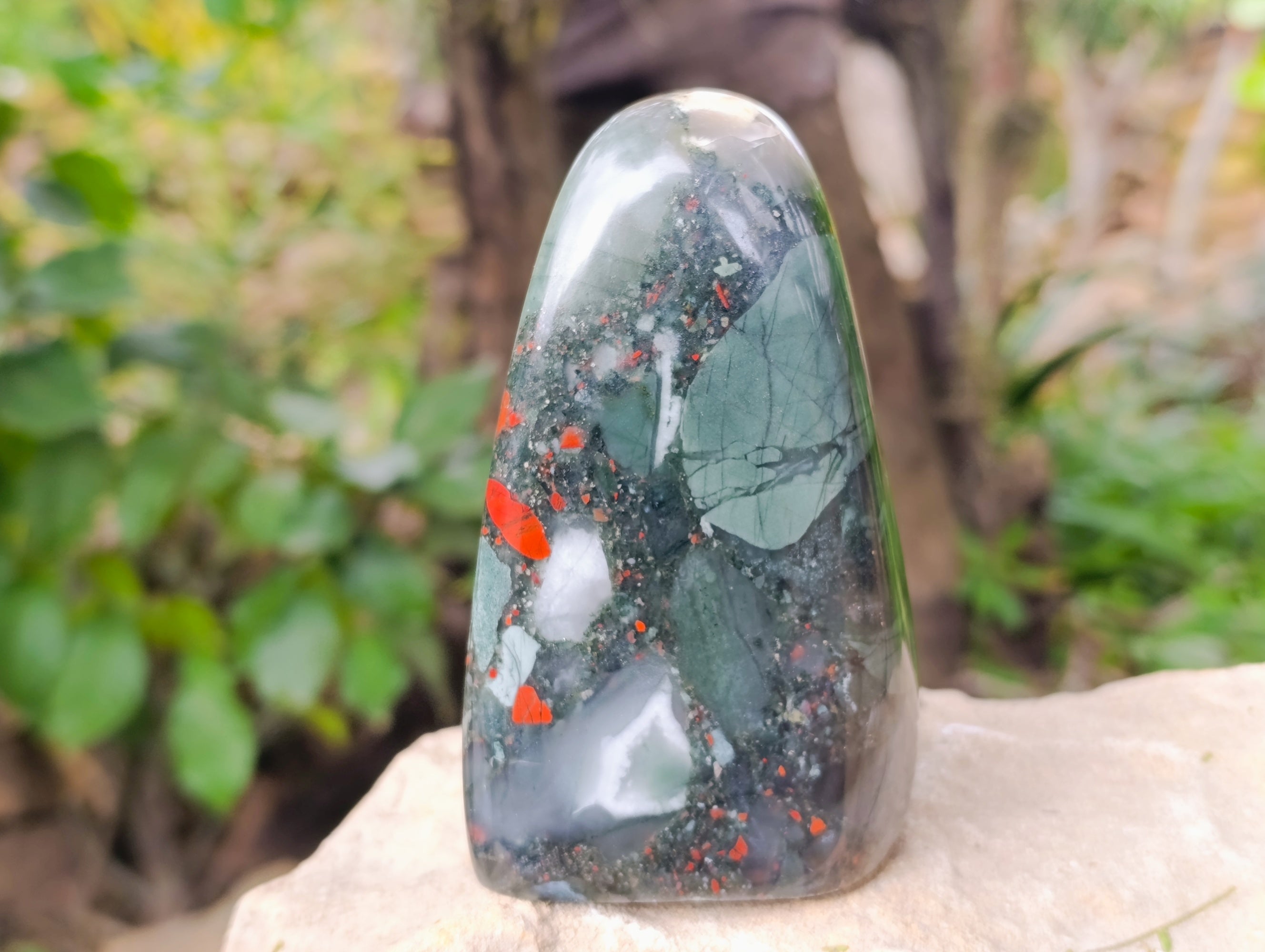 Polished Bloodstone Standing Free Forms x 2 From Swaziland - Toprock Gemstones and Minerals 