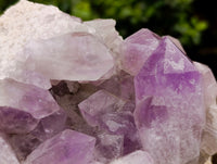 Natural Jacaranda Amethyst Quartz Cluster x 2 From Mumbwa, Zambia - Toprock Gemstones and Minerals 