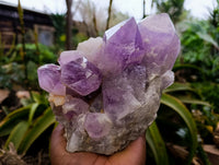 Natural Jacaranda Amethyst Quartz Cluster x 2 From Mumbwa, Zambia - Toprock Gemstones and Minerals 