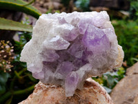 Natural Jacaranda Amethyst Quartz Cluster x 2 From Mumbwa, Zambia - Toprock Gemstones and Minerals 
