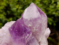 Natural Jacaranda Amethyst Quartz Cluster x 2 From Mumbwa, Zambia - Toprock Gemstones and Minerals 