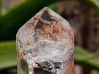 Polished Mixed Inclusion Quartz Crystals Including Rutile x 6 from Madagascar