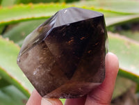 Polished Mixed Inclusion Quartz Crystals Including Rutile x 6 from Madagascar