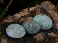 Polished Amazonite Palm Stones x 35 From Zimbabwe