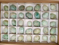 Polished Amazonite Palm Stones x 35 From Zimbabwe