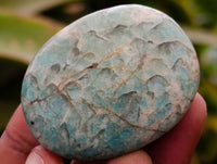 Polished Amazonite Palm Stones x 35 From Zimbabwe