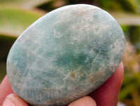 Polished Amazonite Palm Stones x 35 From Zimbabwe