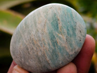 Polished Amazonite Palm Stones x 35 From Zimbabwe