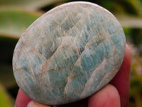 Polished Amazonite Palm Stones x 35 From Zimbabwe
