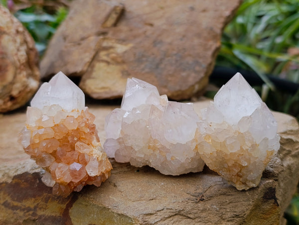 Natural Ametrine Spirit Quartz Clusters x 12 From Boekenhouthoek, South Africa