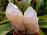 Natural Ametrine Spirit Quartz Clusters x 12 From Boekenhouthoek, South Africa - Toprock Gemstones and Minerals 