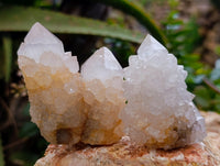 Natural Ametrine Spirit Quartz Clusters x 12 From Boekenhouthoek, South Africa - Toprock Gemstones and Minerals 