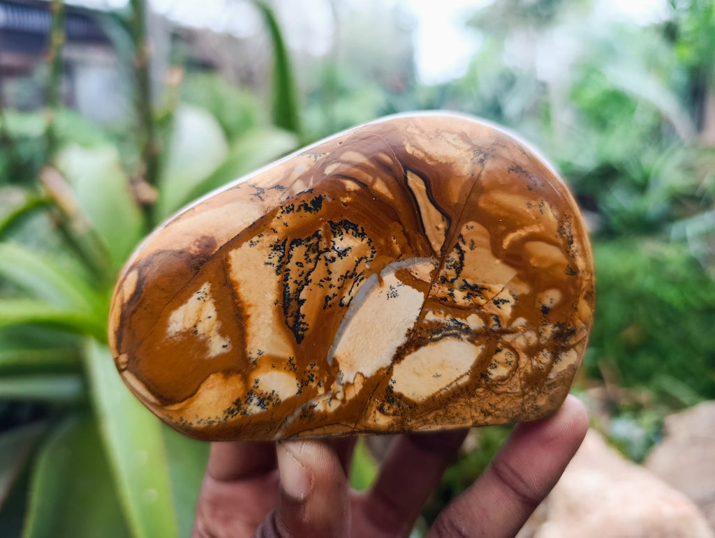 Polished Picture Stone Jasper Standing Free Forms x 4 From Ais-Ais, Namibia - Toprock Gemstones and Minerals 