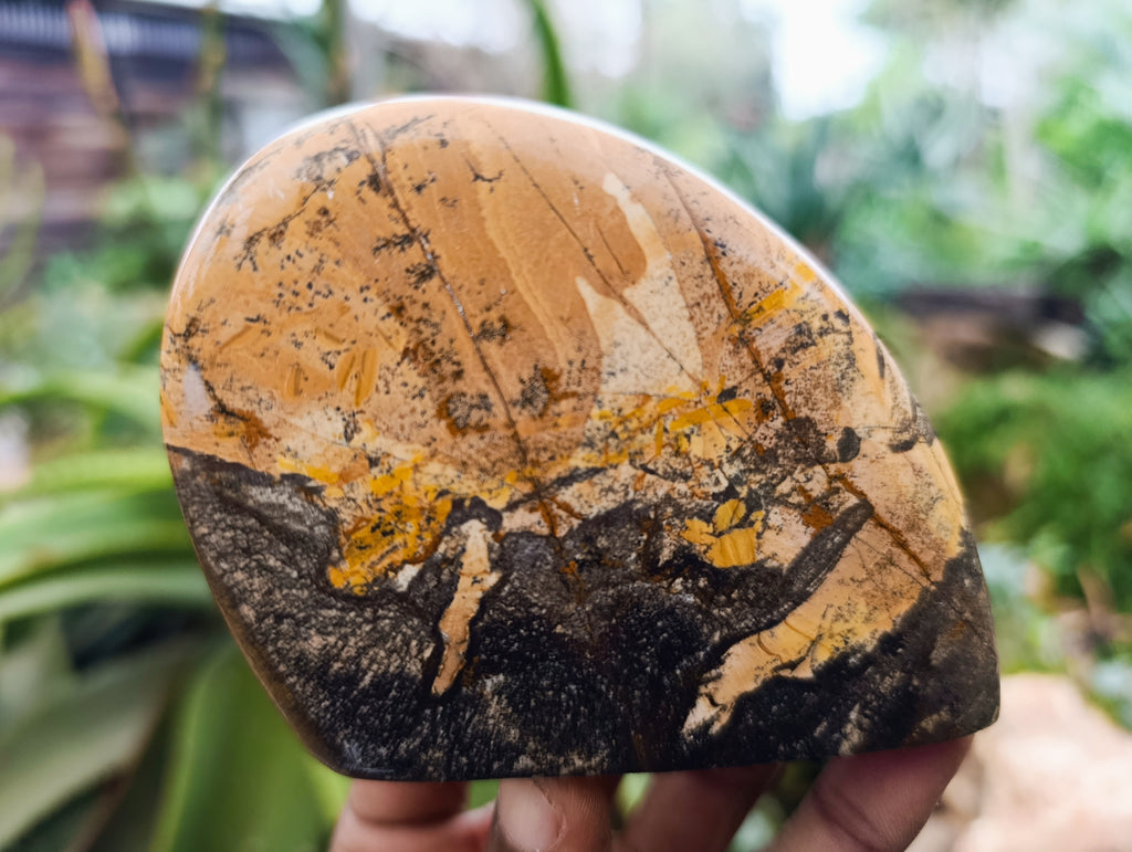 Polished Picture Stone Jasper Standing Free Forms x 4 From Ais-Ais, Namibia - Toprock Gemstones and Minerals 