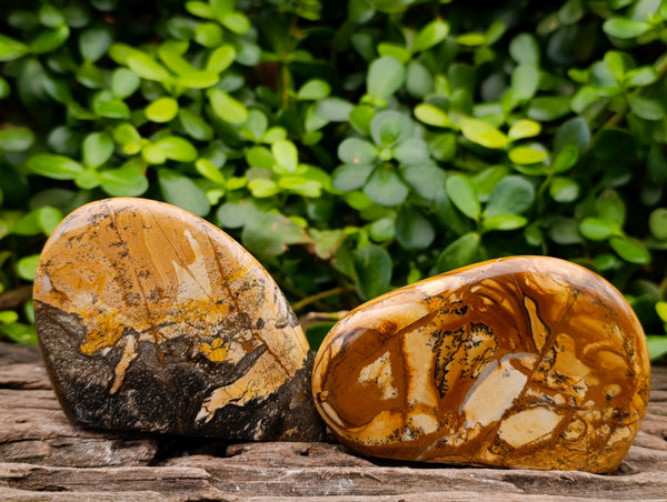 Polished Picture Stone Jasper Standing Free Forms x 4 From Ais-Ais, Namibia