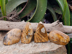 Polished Picture Stone Jasper Standing Free Forms x 4 From Ais-Ais, Namibia - Toprock Gemstones and Minerals 