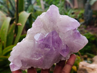 Natural Jacaranda Amethyst Quartz Cluster x 3 From Mumbwa, Zambia - Toprock Gemstones and Minerals 