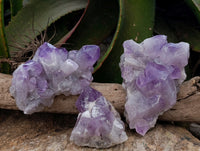 Natural Jacaranda Amethyst Quartz Cluster x 3 From Mumbwa, Zambia - Toprock Gemstones and Minerals 