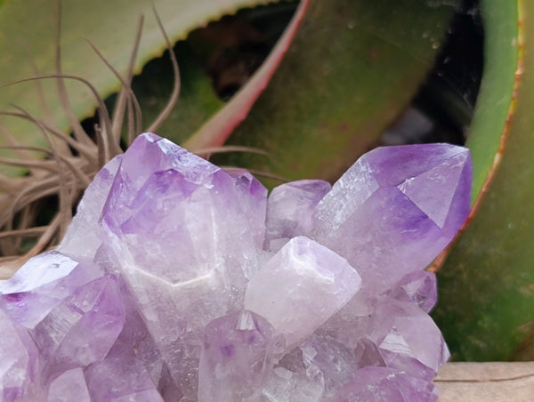 Natural Jacaranda Amethyst Quartz Cluster x 3 From Mumbwa, Zambia