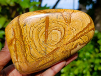 Polished Picture Stone Jasper Standing Free Forms x 2 From Ais-Ais, Namibia - Toprock Gemstones and Minerals 