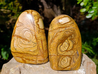 Polished Picture Stone Jasper Standing Free Forms x 2 From Ais-Ais, Namibia - Toprock Gemstones and Minerals 